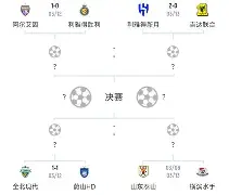 体育赛事-阿尔艾因迎战维达德